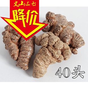 文山金不换 三七粉 产地直销 云南三七 40头三七/田七/三七花