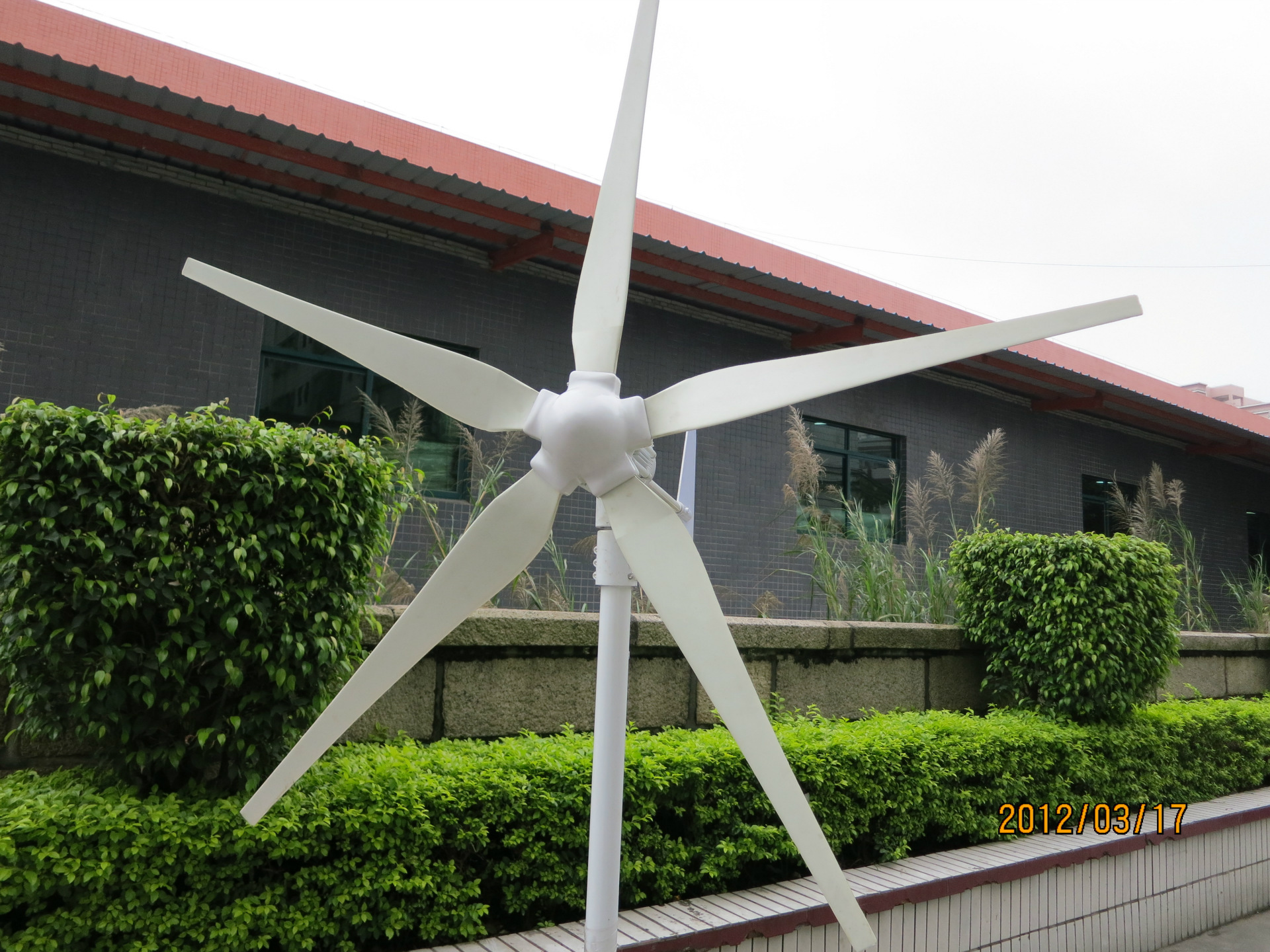 厂家降价直销 超高性价比5叶600w风力发电机 小型风力发电机
