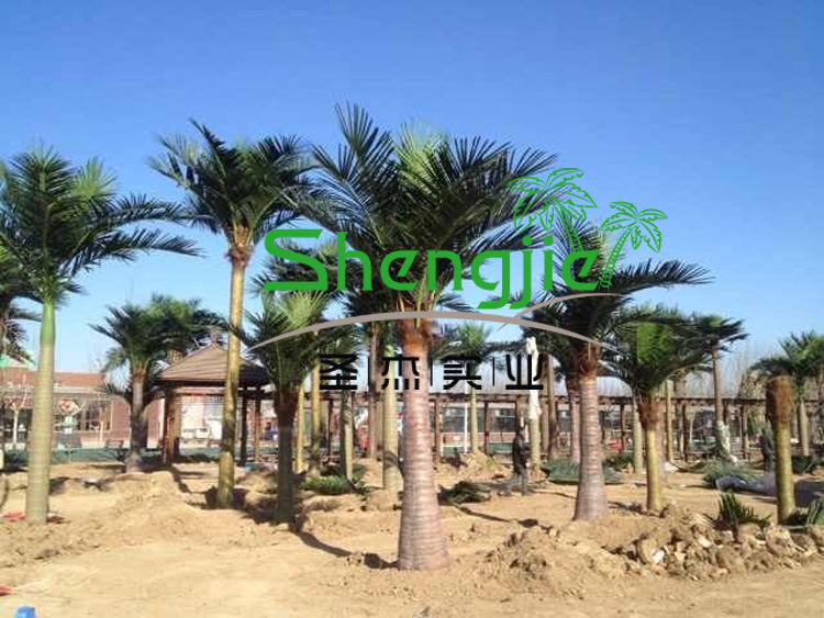 QQ图片20131226181836