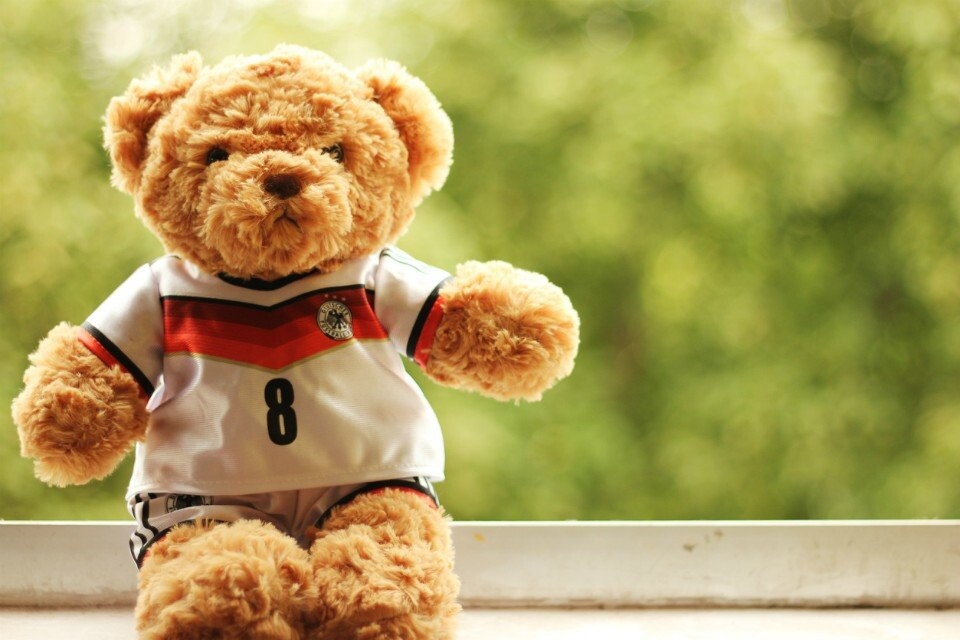 巴西世界 杯小熊毛绒玩具卡通可爱球衣球服公仔 玫瑰绒泰迪熊