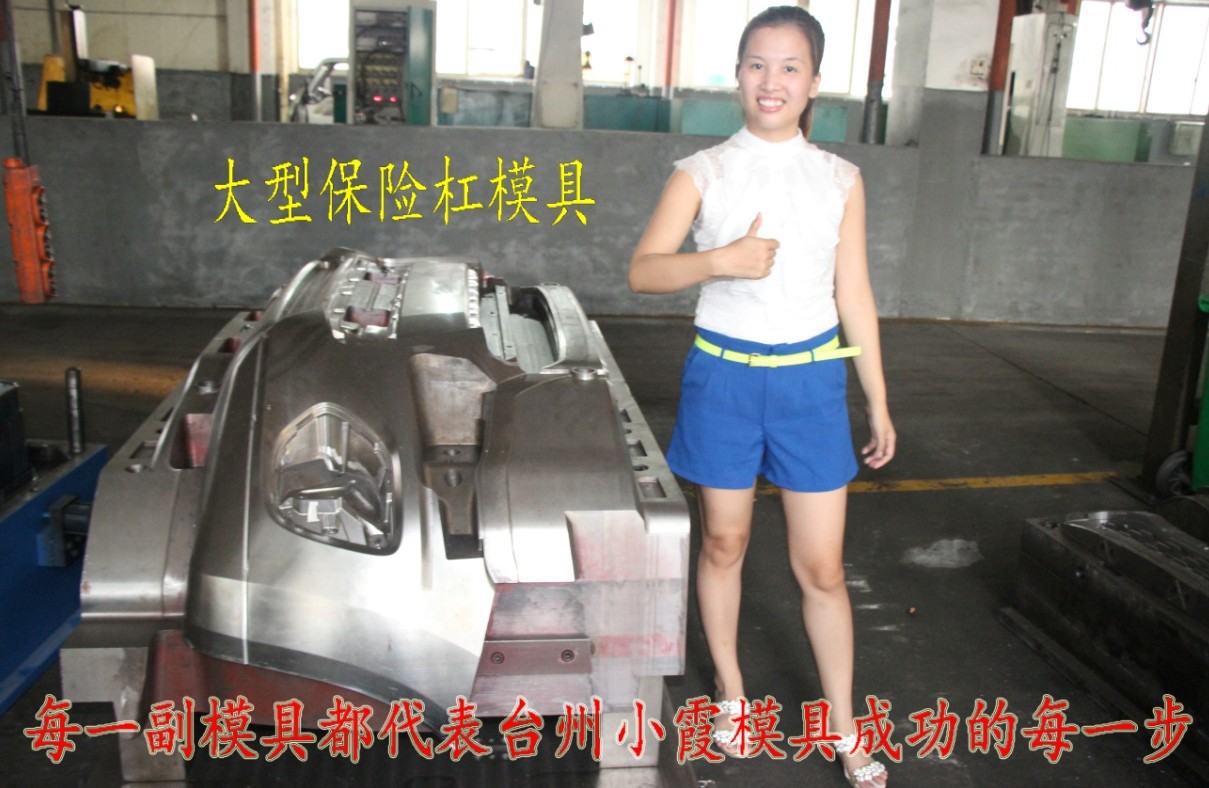 汽车配件模具电话18857609316小霞模具 (2)