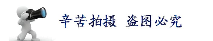 1865235313_1956226651
