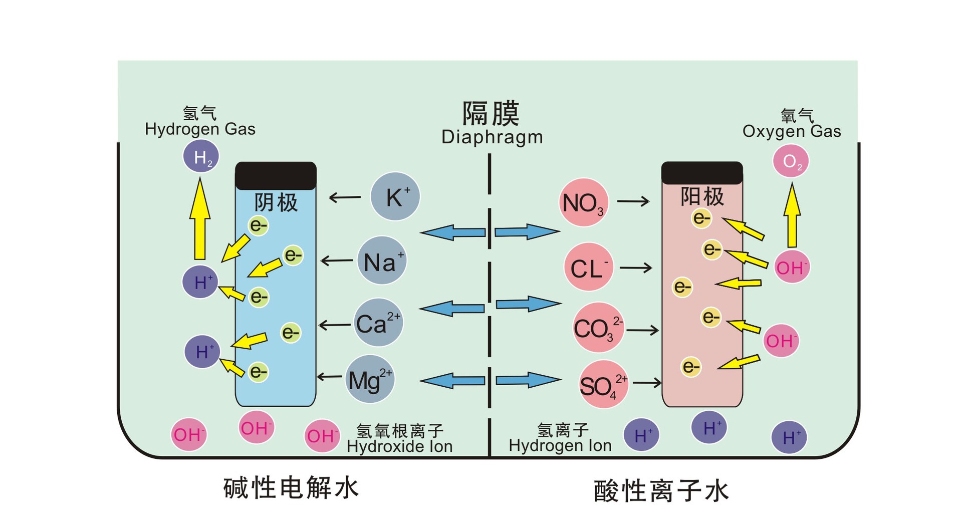 供应 中韩合资 家用电解水机 离子水机 钢化玻璃 弱酸