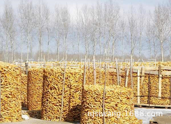 生產供應熱鍍鋅圈玉米網質優價廉工廠,批發,進口,代購