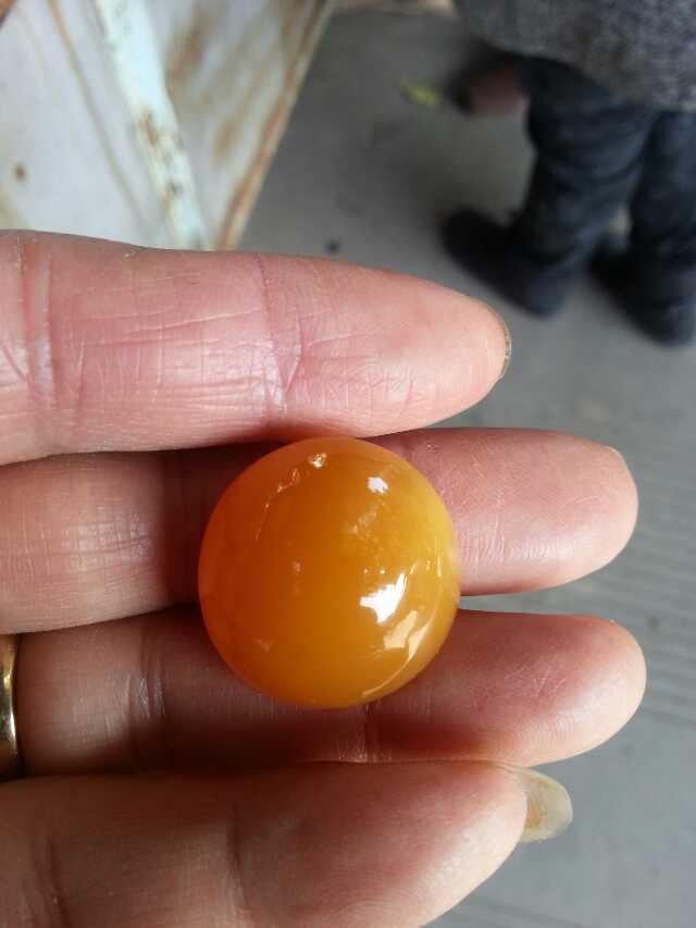 缅甸种老水色好正老种鸡油黄隐晶玉质上乘戒面黄龙玉