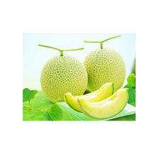 台湾水果_台湾水果价格_优质台湾水果批发\/采