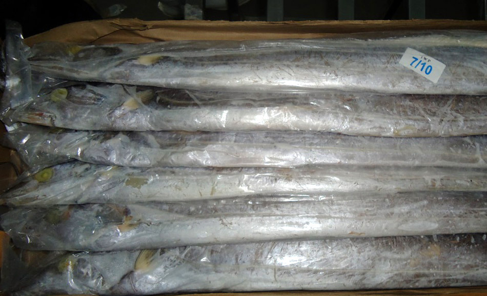 带鱼-带鱼7-9多少钱一箱--阿里巴巴采购平台求