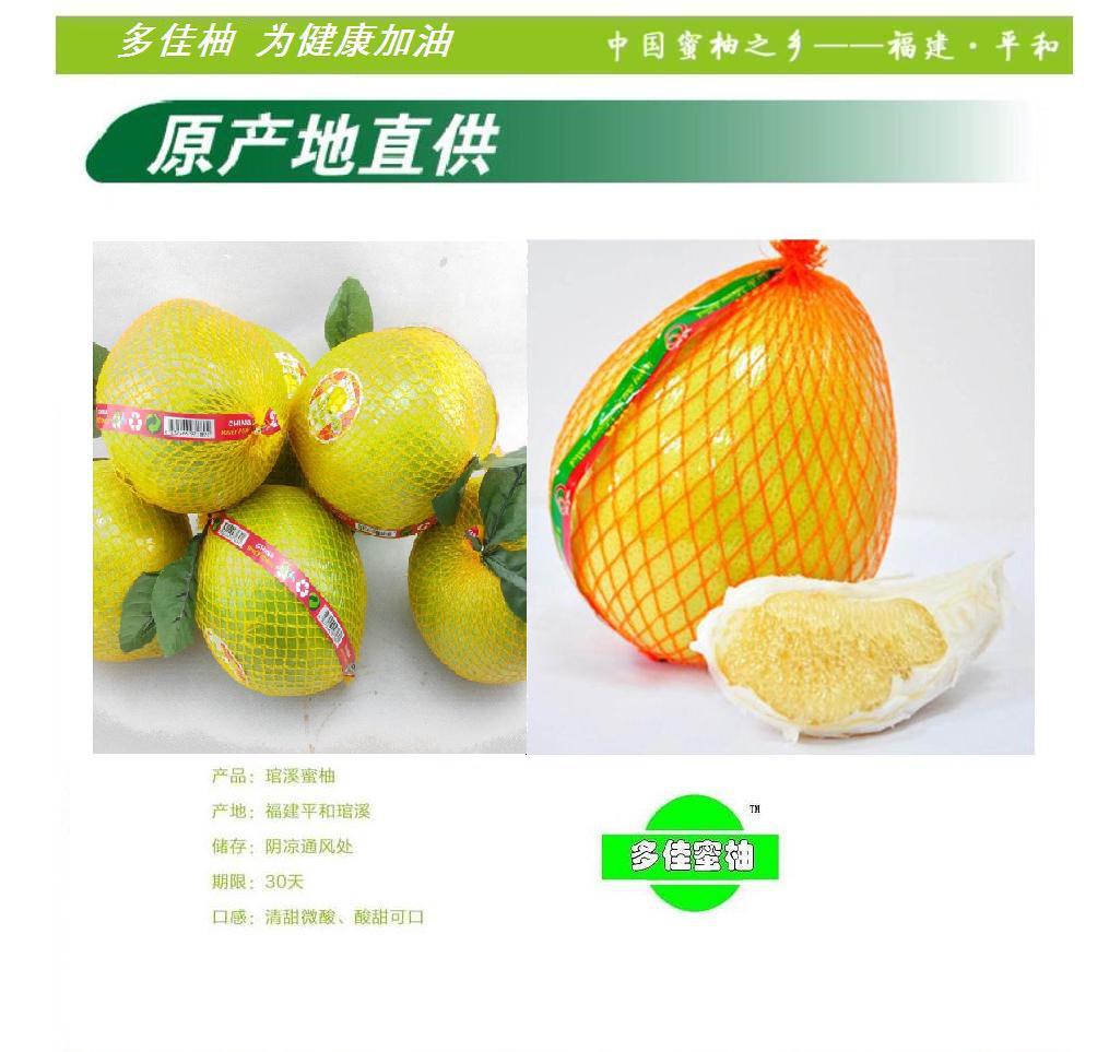 琯溪蜜柚 美味柚惑 供应8公斤/件蜜柚 honey pomelo