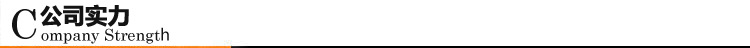 公司实力
