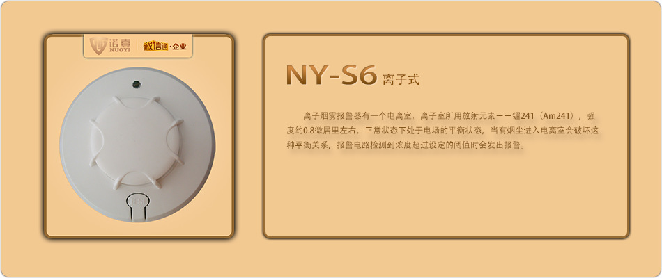 NY-S6