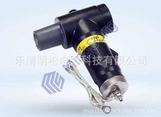 後接避雷器(側)