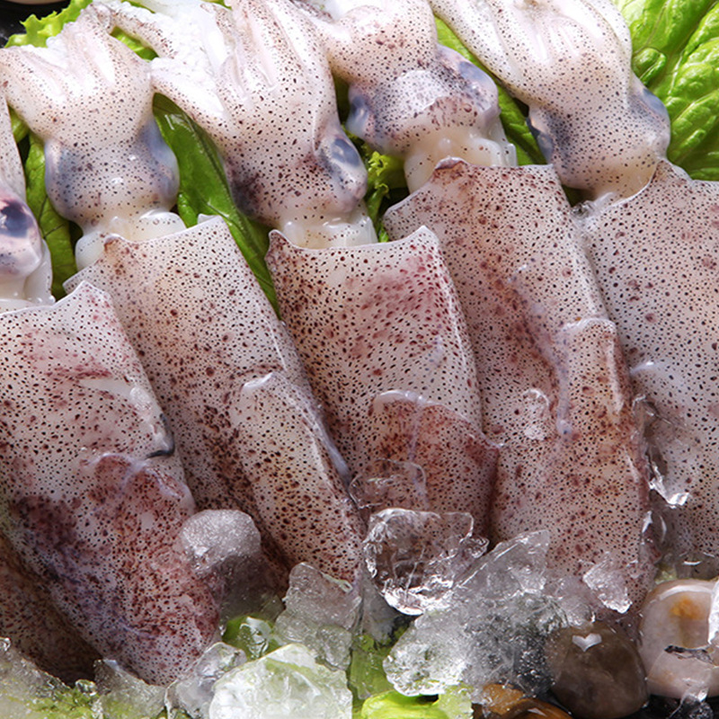 新鲜鱿鱼耳 威海厂家直供鱿鱼 冷冻海产品 粗加工水产品