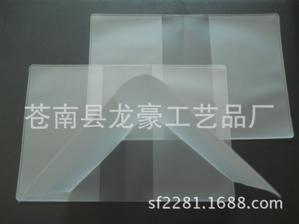 DSCN0587