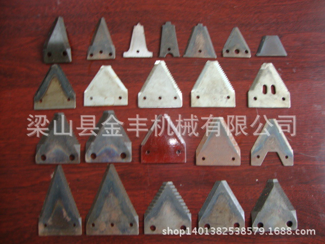 DSC00358(1)