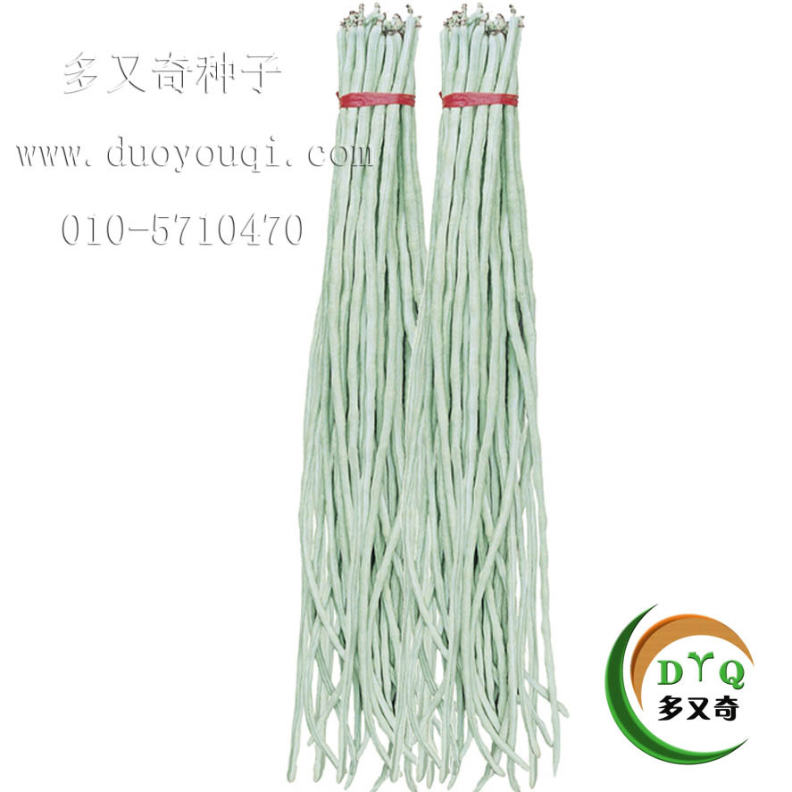 白豇/银早熟豇豆 四季豆角 蔬果 蔬菜