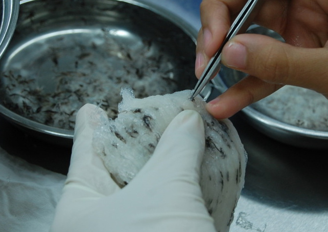 清关服务-燕窝品牌香港包税进口 香港贸易进口