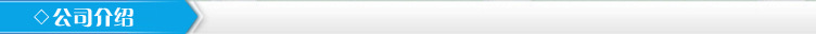 公司介绍