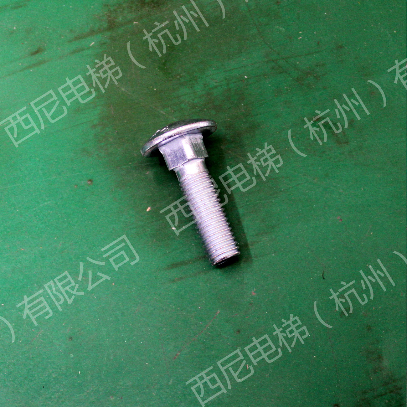 圆形马叉螺栓（另配弹垫，平垫，螺母） (1)