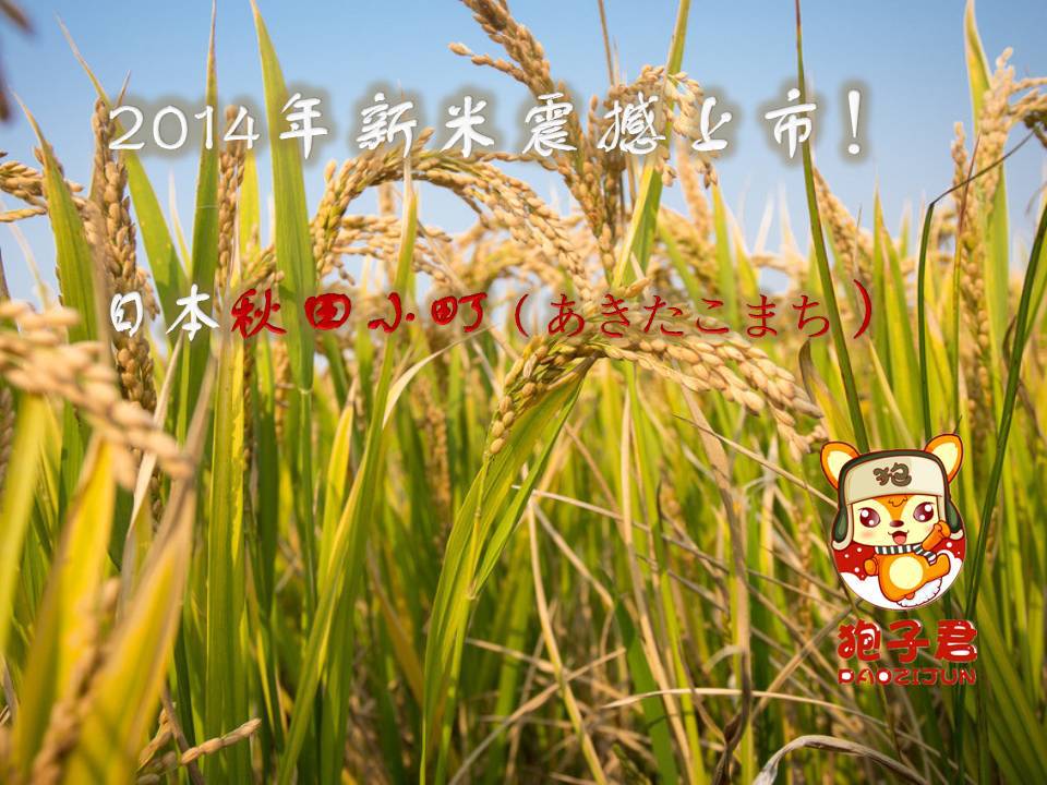 幻灯�?