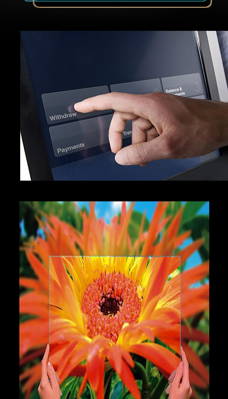 1879835404_1671494318.jpg (790×1385)