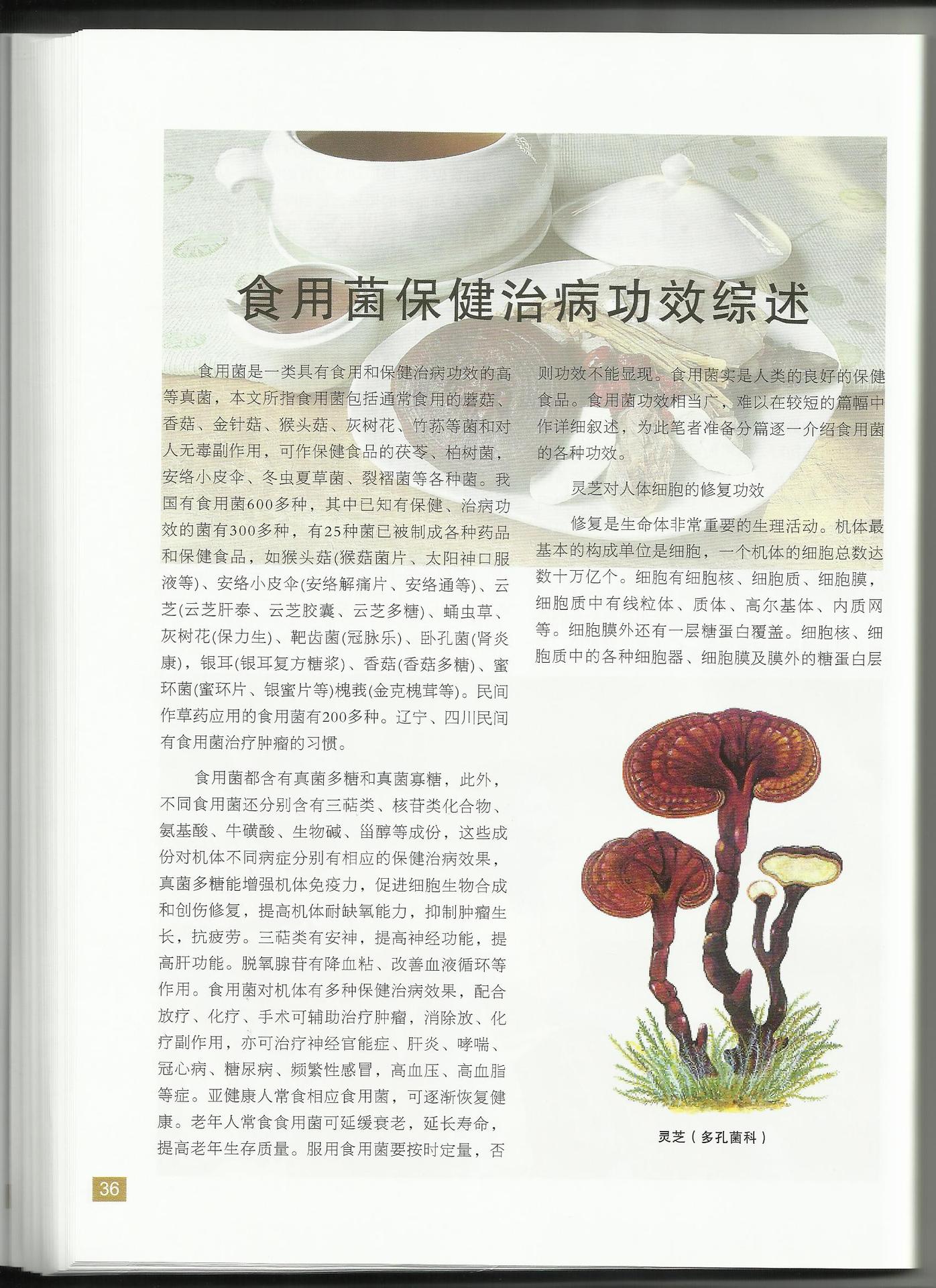 食用菌真菌多糖释怀含香菇多糖等成分可增加免疫功能排毒抑制肿瘤