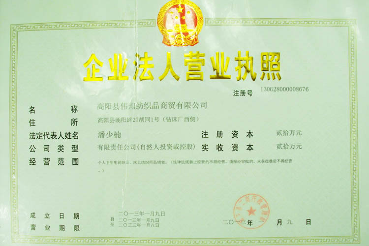 企业法人