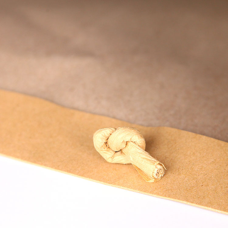 纸盒-展程工 贸 批发定制 精美手提袋 加工定制