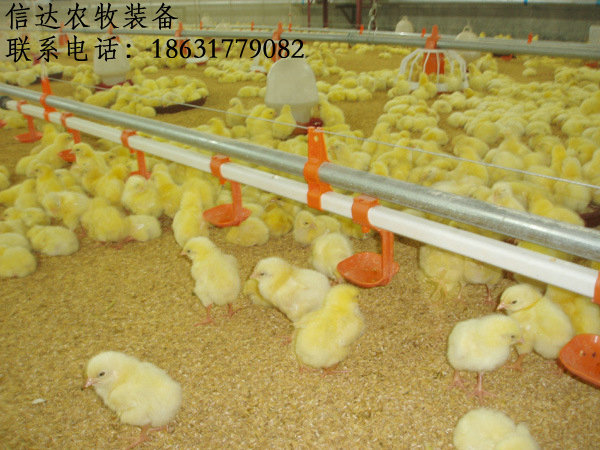 1113397085_763406836