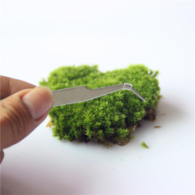 塑料瓶、壶-水滴花园喷景观瓶加湿瓶微园艺植康迪加湿器及滴水桶图片