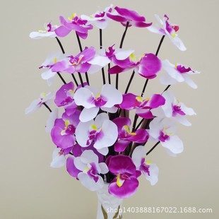 秋蝴蝶兰王长杆花落地花仿真花绢花假花家居装饰五头大蝴蝶兰