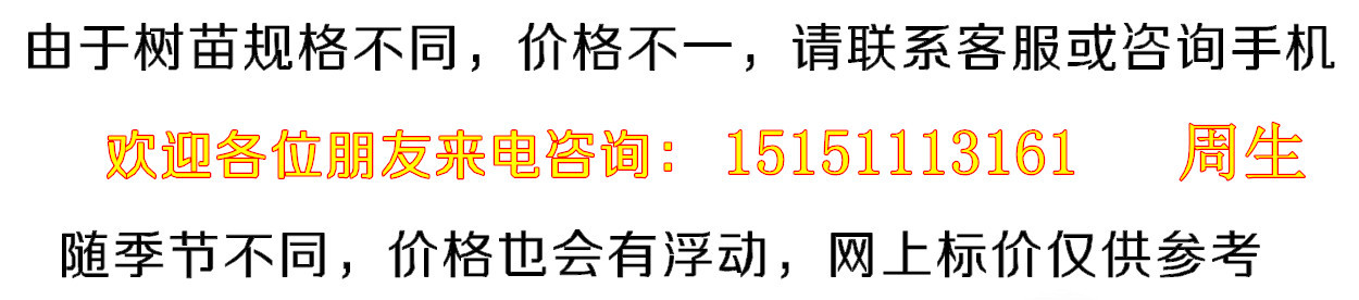 宝贝介绍�?