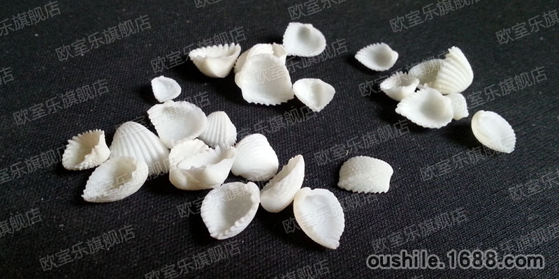 纯天然小贝壳 苔藓微景观diy素材漂流瓶配件装饰件大海边沙滩造景