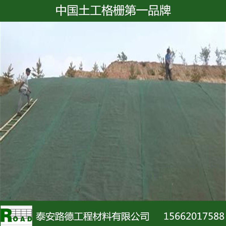 【促销】厂家供应公路铁路边坡草坪固土用三维植被网垫