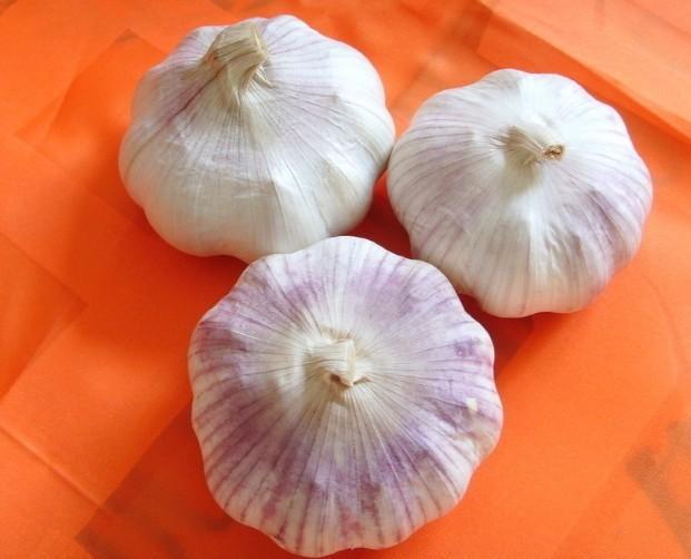 【【专业批发】冷冻大蒜 金乡优质大蒜】价格