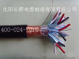 1屏蔽型电子计算机电缆