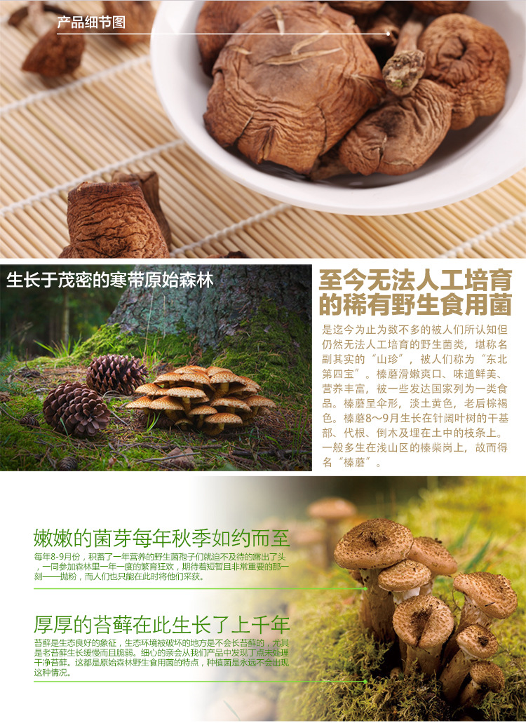 厂家供应野生蘑菇东北特产榛蘑原产地批发量大从优