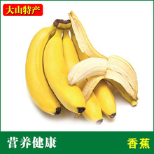 南宁香蕉_南宁香蕉价格_优质南宁香蕉批发\/采
