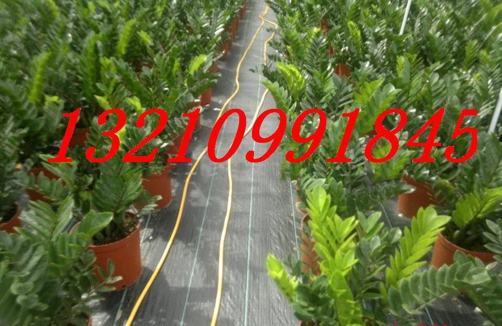 19-535园艺地布