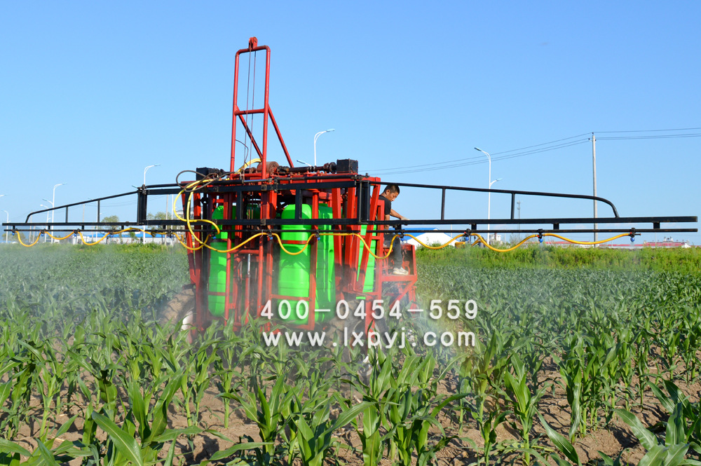 DSC_0843副本副本