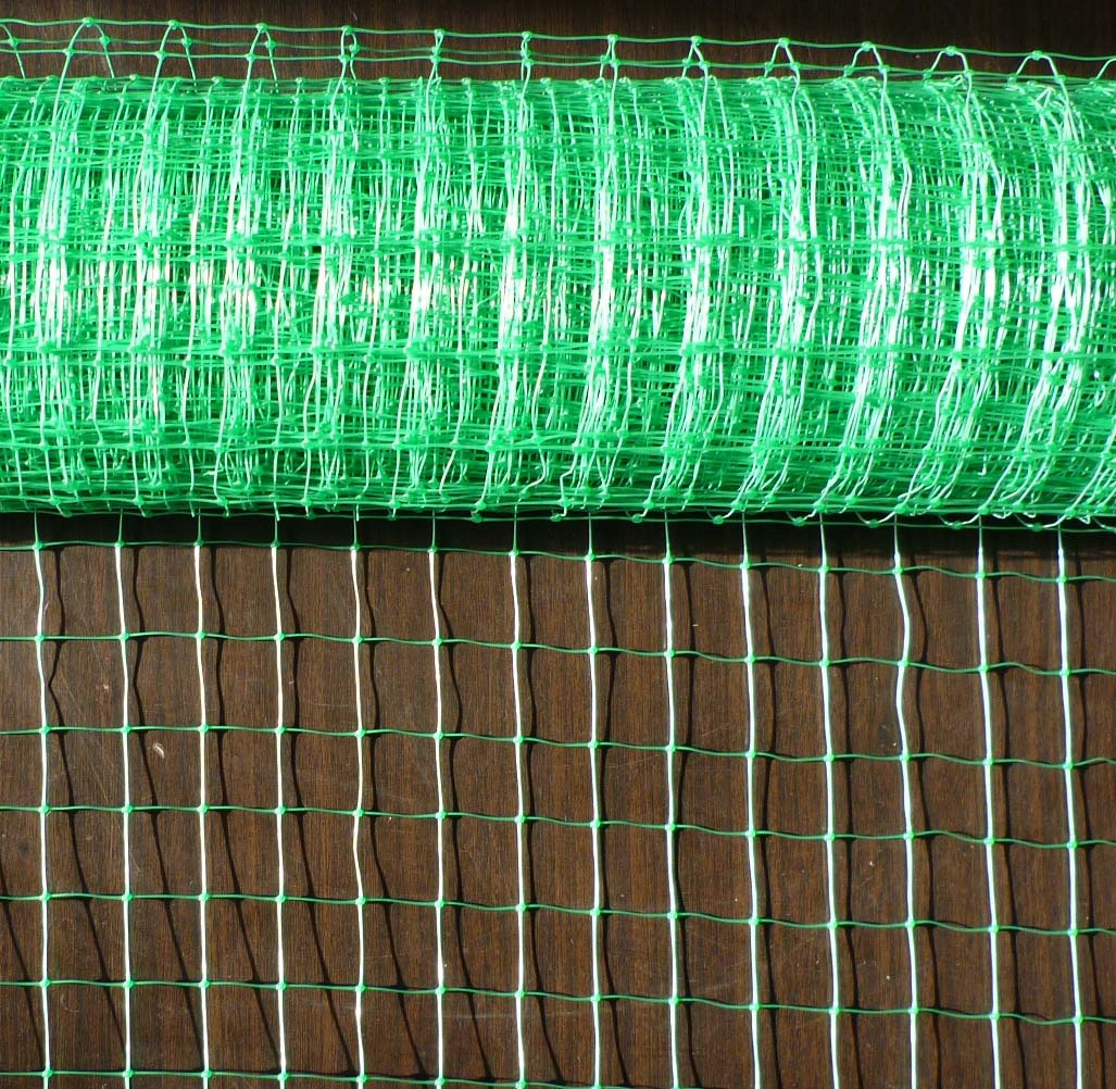 供应葡萄攀藤网,防鸟网,方孔塑料网,圈养家禽网