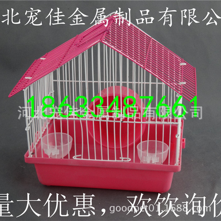 DSC05403_副本首图