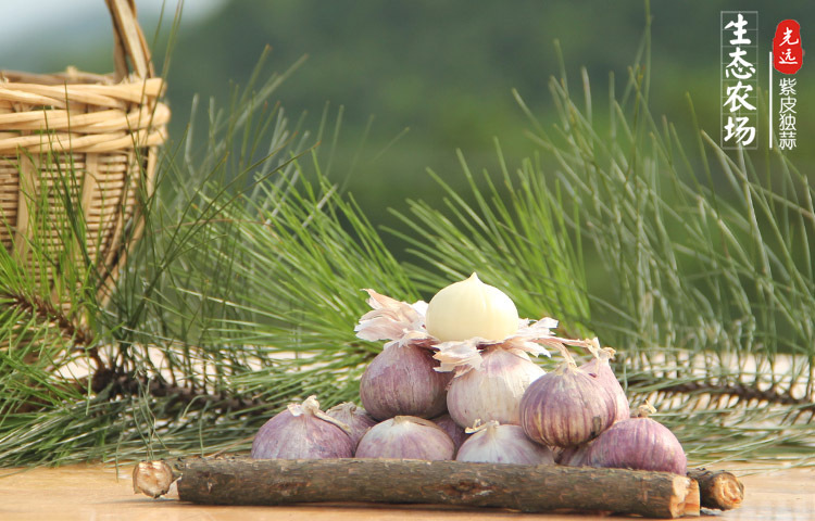 蒜-乡下自种紫皮独蒜 大蒜 蒜头 本地特产 药食