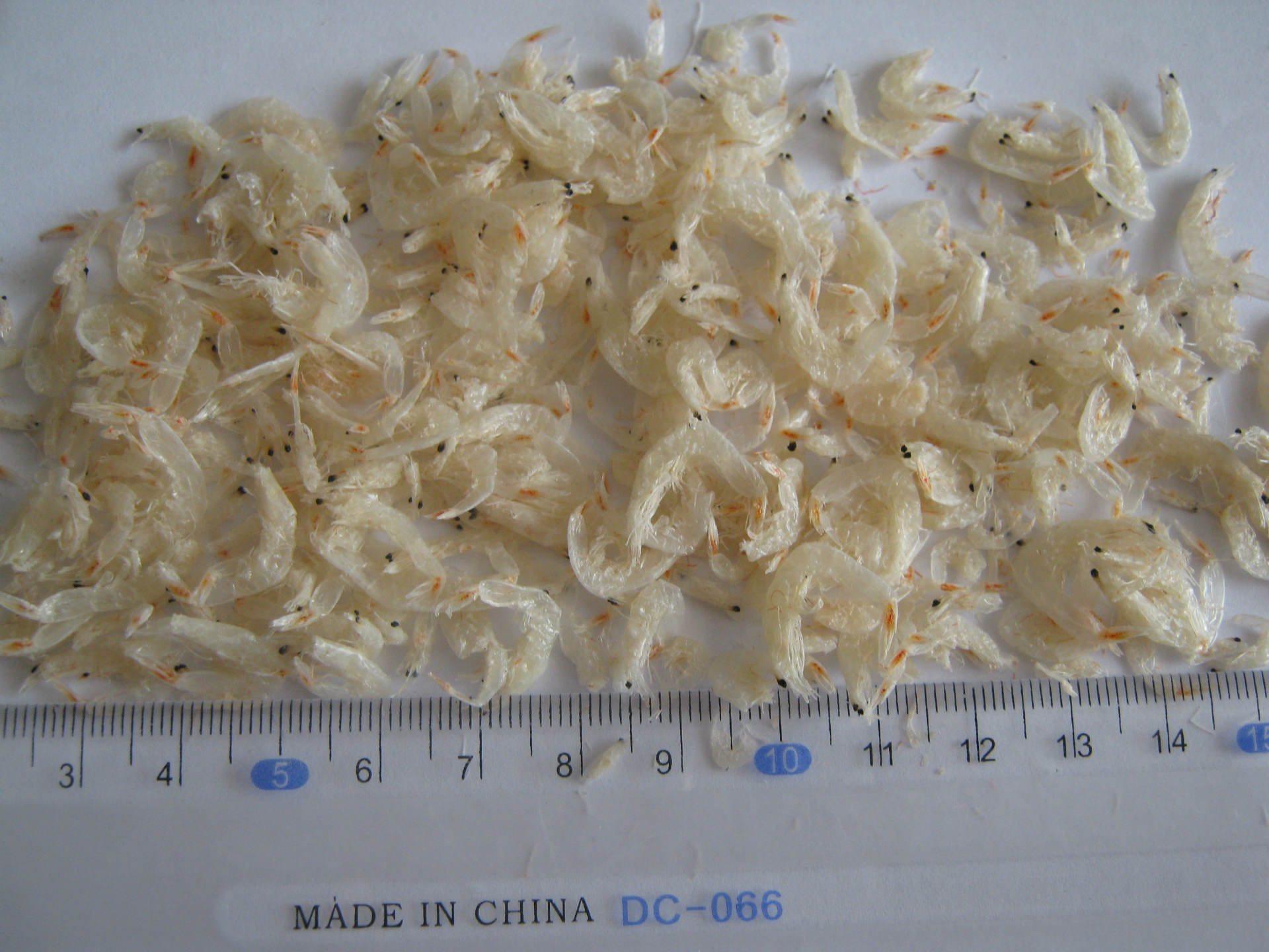 【厂家直供 野生无盐淡干 小虾皮 孕妇 宝宝 老