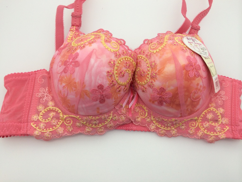 批发供应魔术<em>软钢圈</em> 绣花 <em>文胸</em>内衣 特价 促销 