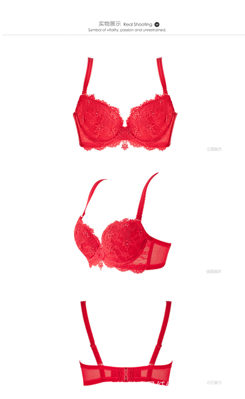 直立棉文胸,缔星棉文胸,立棉文胸,健康文胸,聚拢