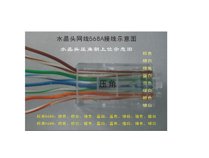 大量批发 五类 水晶头 网络 跳线水晶头 8p8c水晶头 另有线材