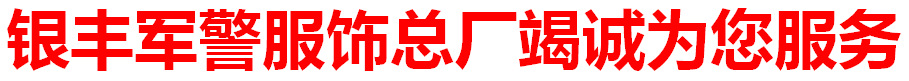 银丰服务