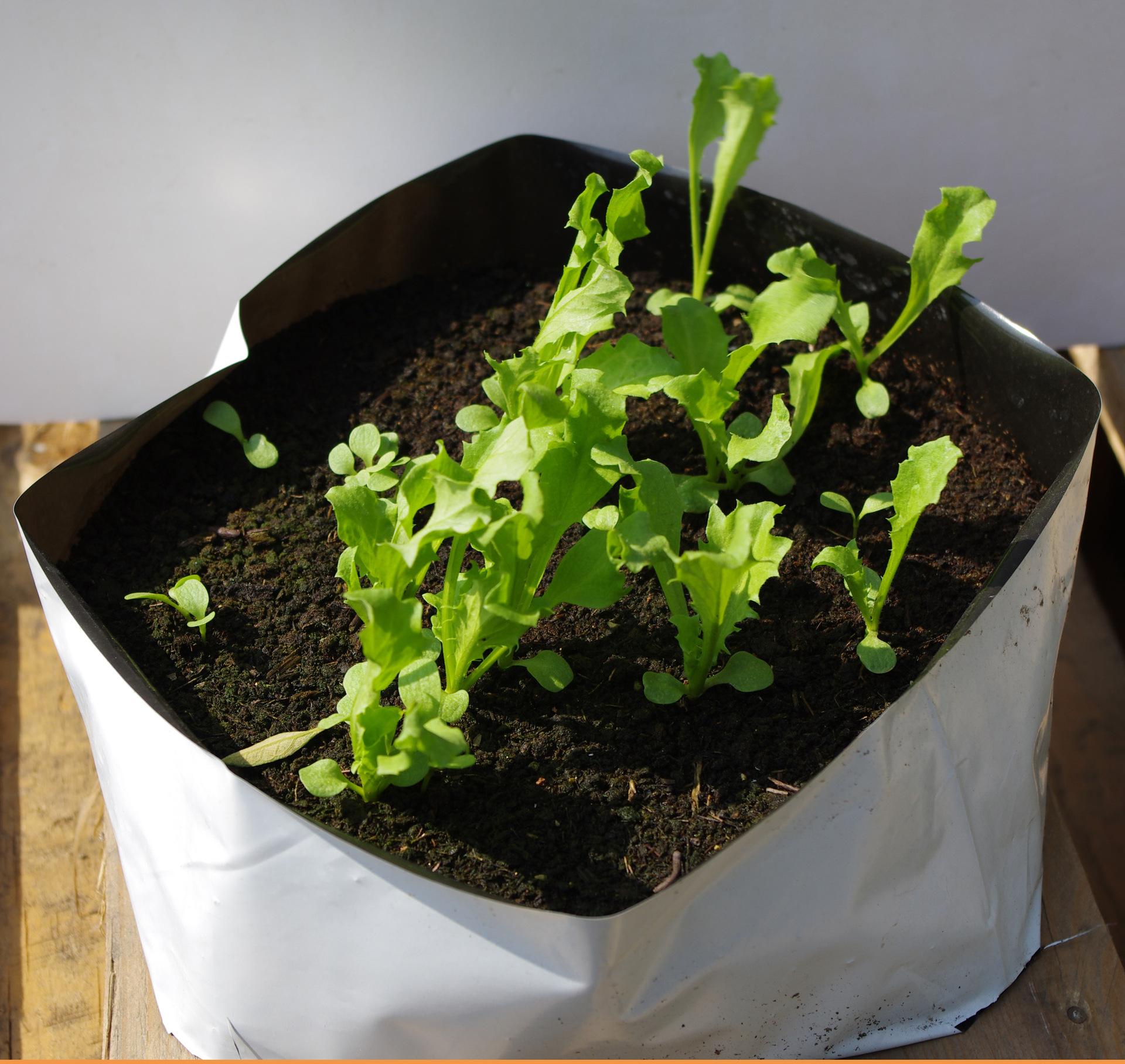 蔬菜种植 花卉绿植无土栽培基质植物生长袋