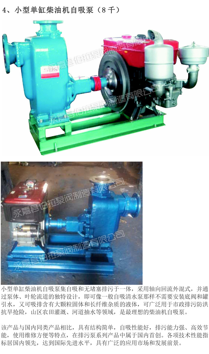 4 小型单缸柴油机自吸泵 (1)