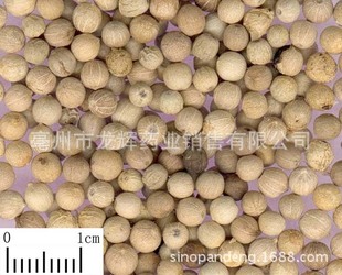 全国招商代理商检 出口 优质中药材 香料 白胡椒